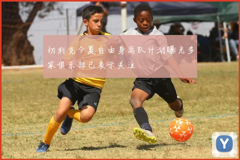 切利克今夏自由身离队计划曝光多家俱乐部已表示关注