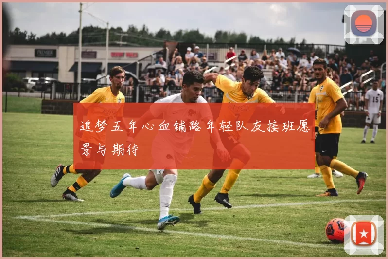 追梦五年心血铺路年轻队友接班愿景与期待