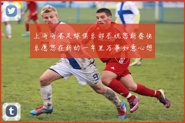 上海海港足球俱乐部恭祝您新春快乐愿您在新的一年里万事如意心想事成